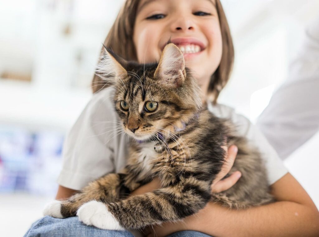 gatos para familias com criancas